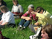 Intensivkurs - Ganzheitliche Heilpflanzenkunde