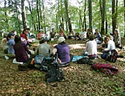 Medizinwanderung - die Natur als Spiegel unserer Seelenlandschaft
