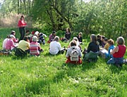 Ausbildung - Ganzheitliche Heilpflanzenkunde