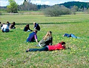 Intensivkurs - Ganzheitliche Heilpflanzenkunde