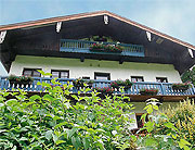 Haus Stein