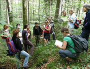 Medizinwanderung - die Natur als Spiegel unserer Seelenlandschaft