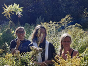 Fraueninsel