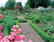 Heilpflanzenf&uuml;hrungen auf der Fraueninsel