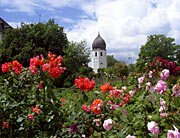 Heilpflanzenf&uuml;hrungen auf der Fraueninsel