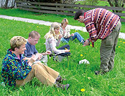 Fr&uuml;hlingserwachen